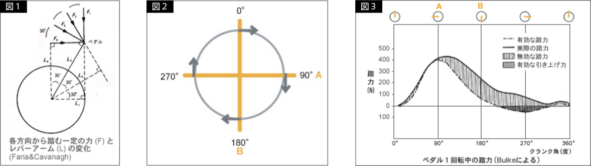 ※「スポーツ?バイオメカニクス入門」金子公宥著より抜粋